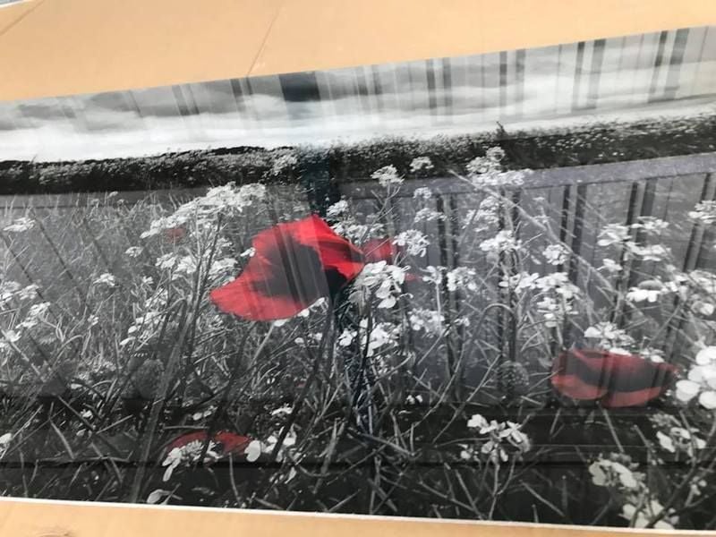 Printed Splashbacks & Wall Panels Guide - ISPS Innovations Printed Splashbacks & Wall Panels Guide - ISPS Innovations